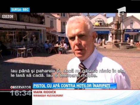 Restaurant terorizat de pescarusi