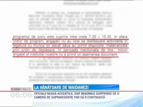 Hingherii din Ploiesti ies la vanatoare de maidanezi in miez de noapte