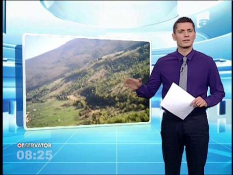 Satul Garana - destinatia ideala pentru iubitorii de muzica jazz