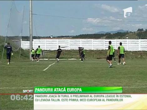 Mutari de marca pentru Europa: Eric si Stanca au ajuns la Pandurii!