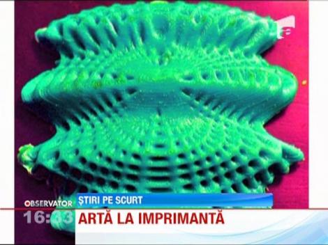 Un artist roman expune in SUA picturi "trase" la imprimanta