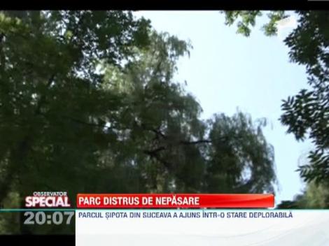 Parcul Sipote a ajuns o ruina!