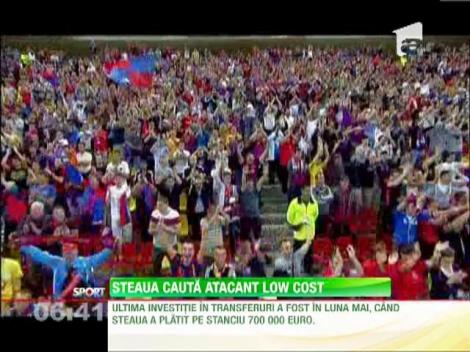 Steaua cauta atacant low cost