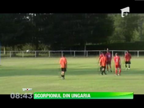 Scorpionul din Ungaria