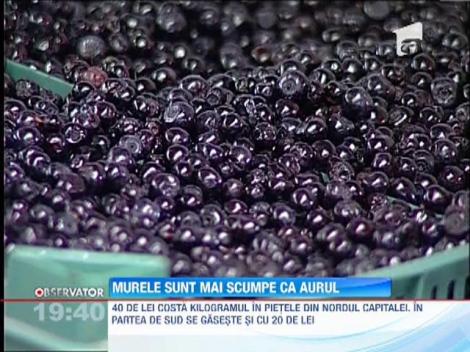 Fructele de padure au ajuns mai scumpe decat aurul!