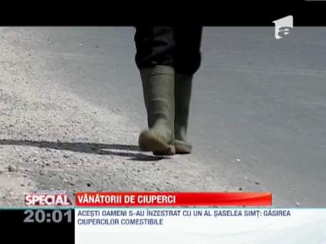 Meseria de ciupercar