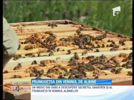 Tratament cu venin de albine