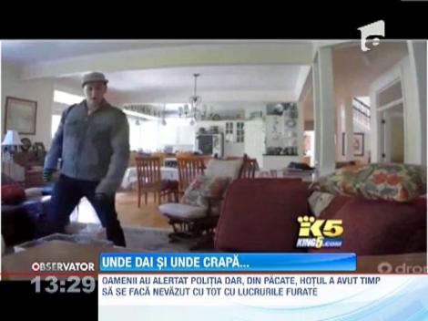 Un american a inventat o aplicatie pentru supravegherea animalului de companie