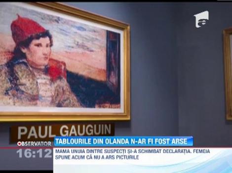 Tablourile din Olanda n-ar fi fost arse