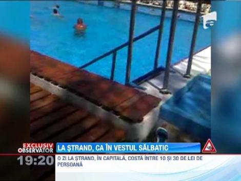 Strandurile din Capitala, pline de nereguli