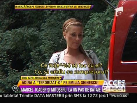 Marcel Toader si Mihai Mitoseru, la un pas de bataie!