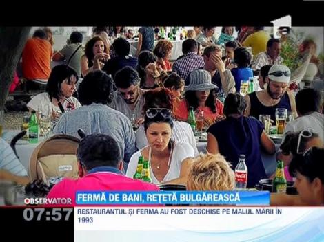 Ferma de midii de la Dalboka