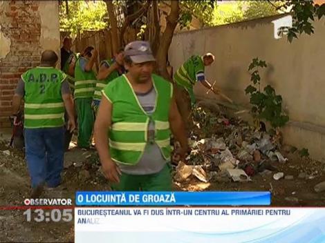 Mizerie infioratoare in casa unui bucurestean