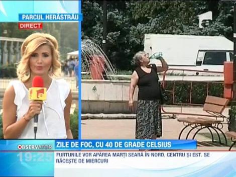 Cod galben de canicula