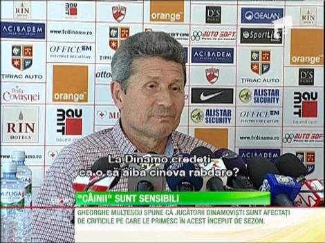 "Cainii" lui Multescu sunt sensibili