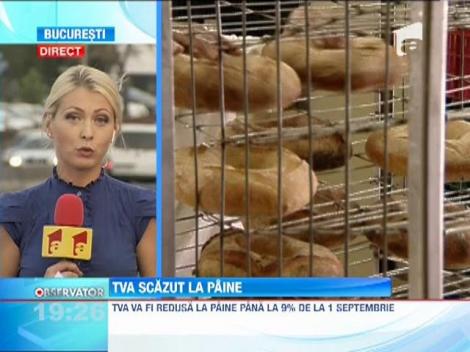 TVA scazut la paine