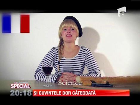 Limba germana, comparatie cu limbi ale lumii