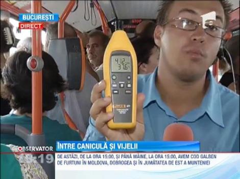 Cod galben de furtuni in Moldova, Dobrogea si in jumatatea de est a Munteniei