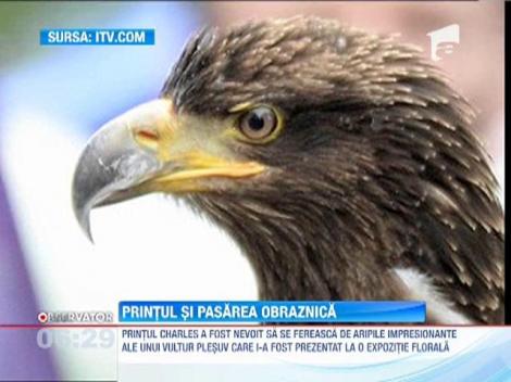 Printul Charles, speriat de un vultur plesuv