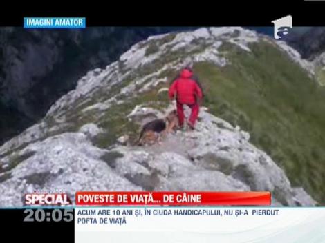 In 3 picioare, pe munte