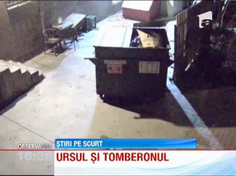 VIRAL! Un urs a "jefuit" un restaurant din SUA. Prada: doua tomberoane!