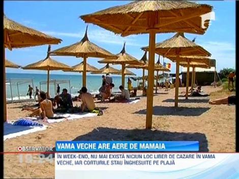 Vamaiotii, specie rara in Vama Veche
