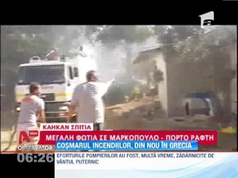 Incendiile de padure fac ravagii in Grecia