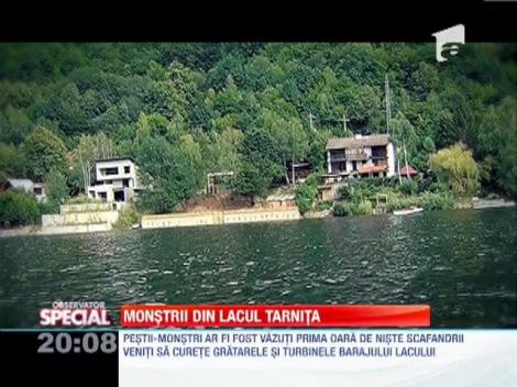 Monstrii din Lacul Tarnita