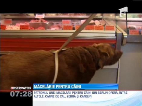 Caini hraniti cu delicatese intr-o macelarie din Berlin