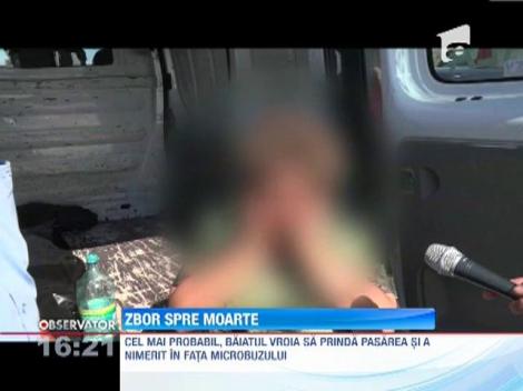 A incercat sa prinda un porumbel, dar a sfarsit sub rotile unui microbuz