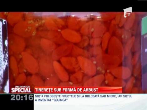 Goji, fructul-minune cu foarte multe proprietati benefice pentru organism