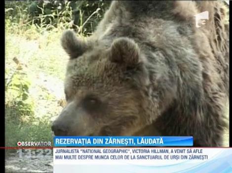 Sanctuarul de ursi de la Zarnesti e si in atentia stainilor