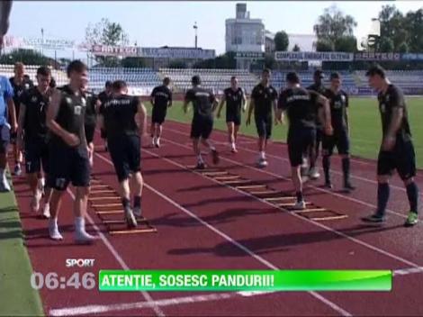 Pandurii au ajuns in Israel