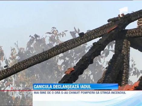 Doua case au ars in Timis din cauza caniculei!