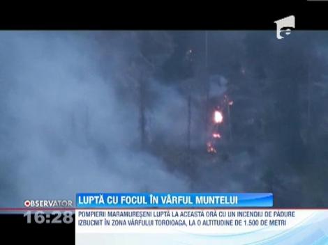 Pompierii maramureseni se lupta cu flacarile in varful Toroioaga