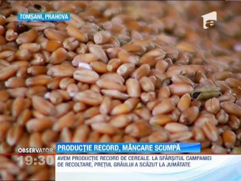 Productie record de cereale, insa mancarea ramane scumpa