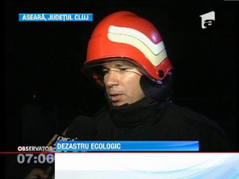 Dezastru ecologic pe Somes!