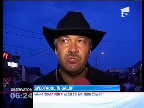 Cei mai buni calareti din Europa au facut spectacol in statiunea Baile Felix