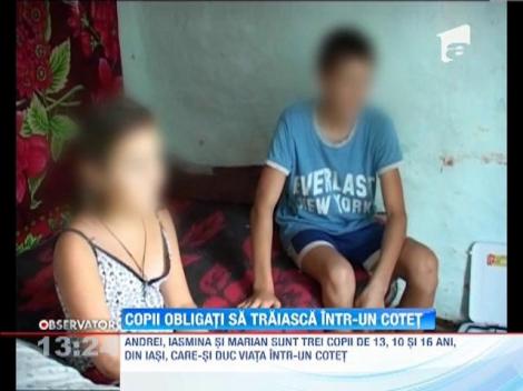 Langa Iasi trei copii traiesc intr-un cotet din chirpici