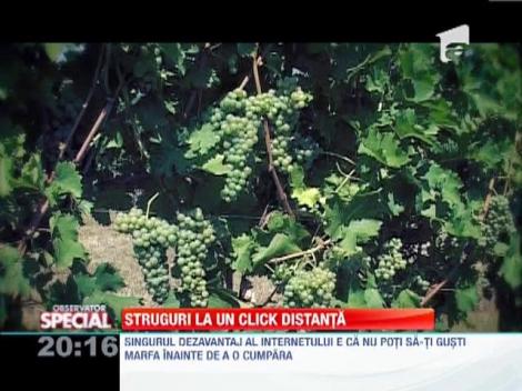 Producatorii de struguri, pionierii pietelor virtuale