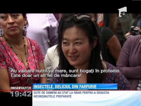 Restaurant cu aprovizionare de la deratizare: Viermii croncanti si gandacii cu ciocolata, deliciile din meniu