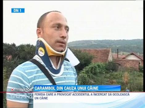 Un caine a provocat un carambol pe DN1. Patru oameni au fost raniti