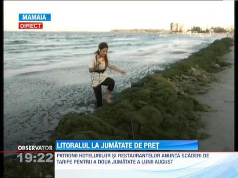 Scad preturile pe litoral