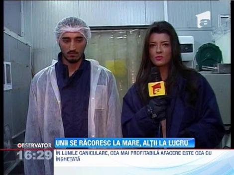 In lunile caniculare, cea mai profitabila afacere este cea cu inghetata