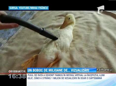 Un boboc de milioane de vizualizari