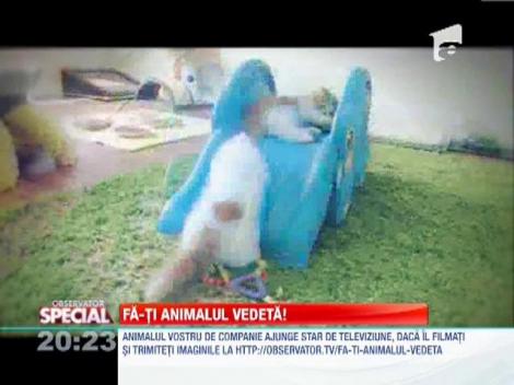 3 pisoi rotofei pusi pe joaca