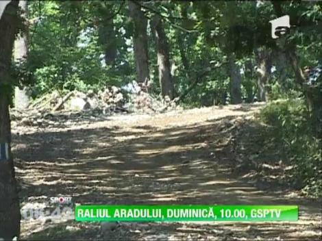 GspTV transmite in direct Raliul Aradului
