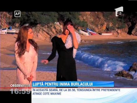 Lupta apriga pentru inima Burlacului