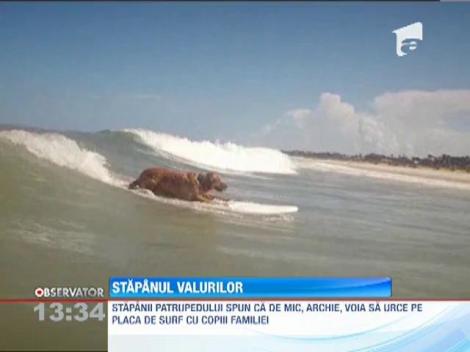 VIDEO! Un caine din Florida face surf ca un profesionist