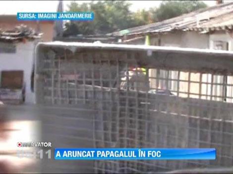 Suparat ca nu si-a gasit copiii acasa a aruncat papagalul si alte bunuri in foc